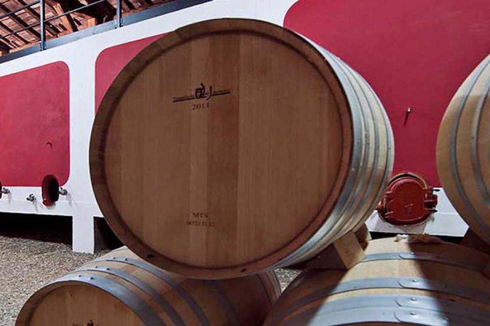 Plassac Castle Castles / Towers / Forts in Plassac Guide de