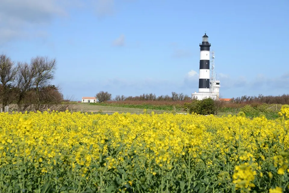 Phare de Chassiron