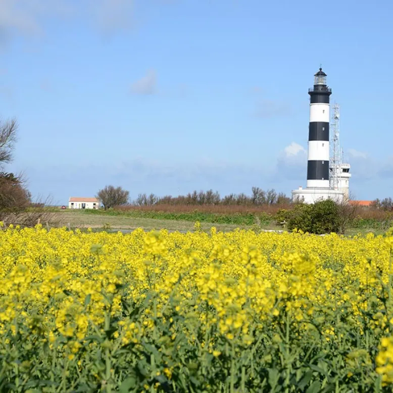 Phare de Chassiron