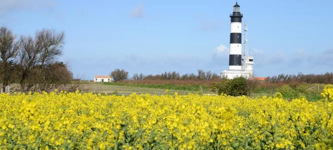 Phare de Chassiron