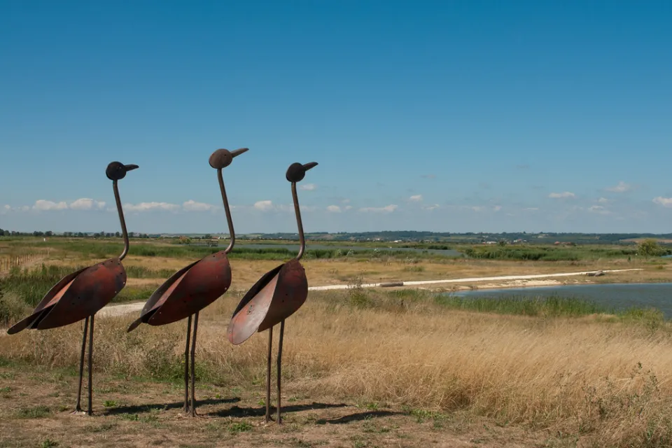 Vitrezay, Estuaire de la Gironde