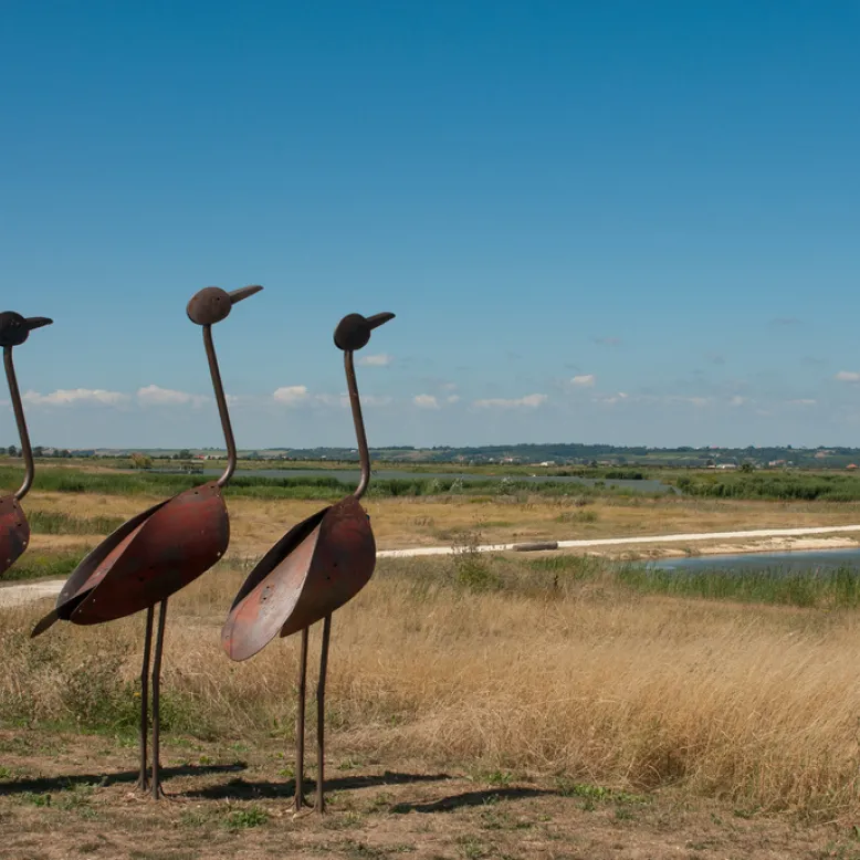 Vitrezay, Estuaire de la Gironde