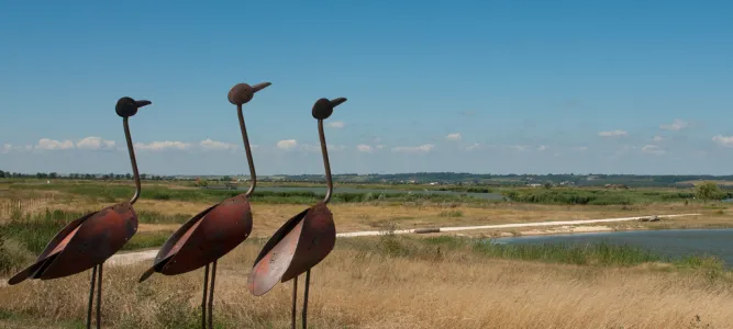 Vitrezay, Estuaire de la Gironde