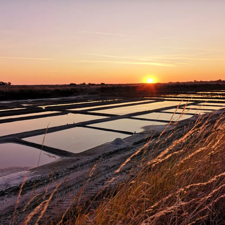 The salt maker on the Ré Island : the secrets ...