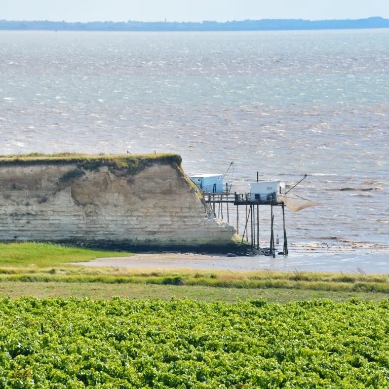 Visit and discovery of the Charente-Maritime v ...