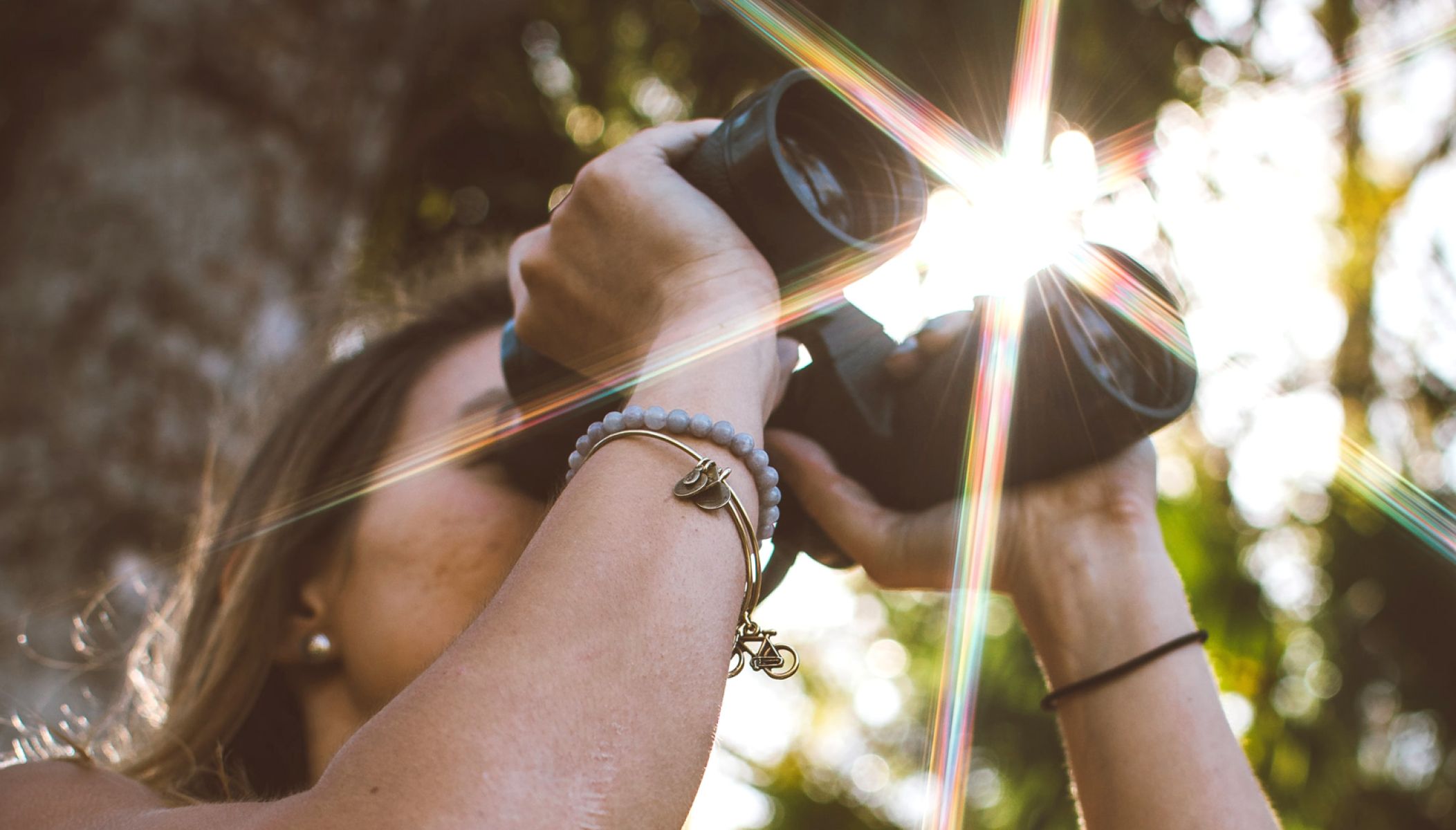 Où observer les oiseaux en Charente Maritime ?