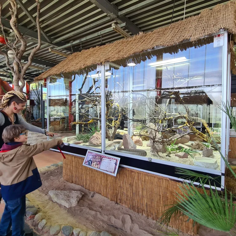 Planet Exotica: You have never seen a park lik ...