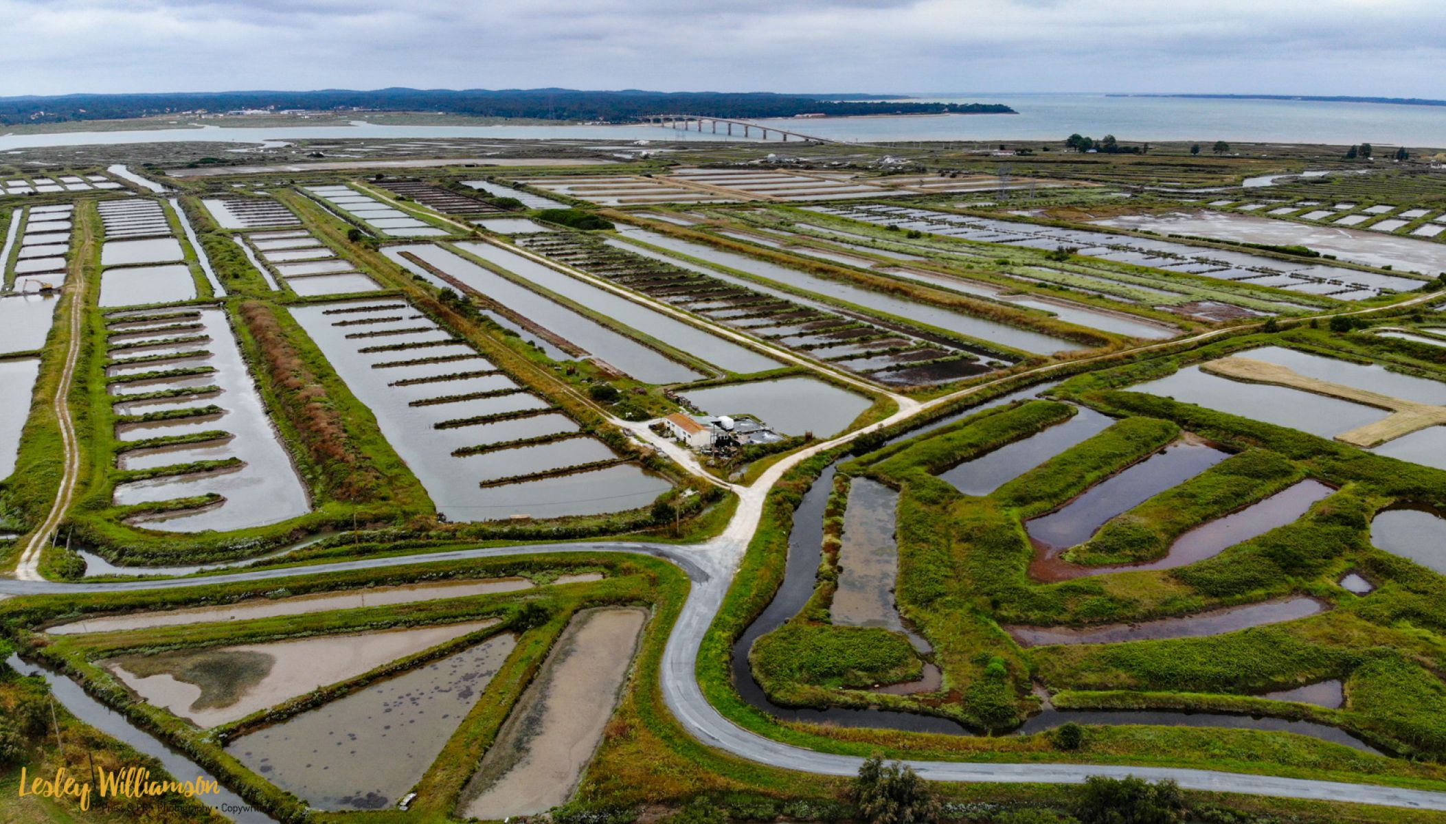L’huître Marennes Oléron, la grande vedette des Fêtes de fin d’année !