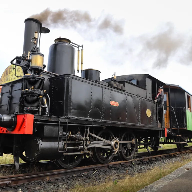 The “Train des Mouettes”: the Seudre estuary a ...
