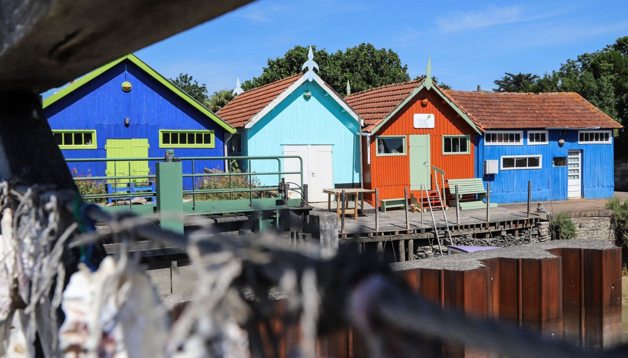 Weekend à Oléron : 10 expériences incontournables à vivre !