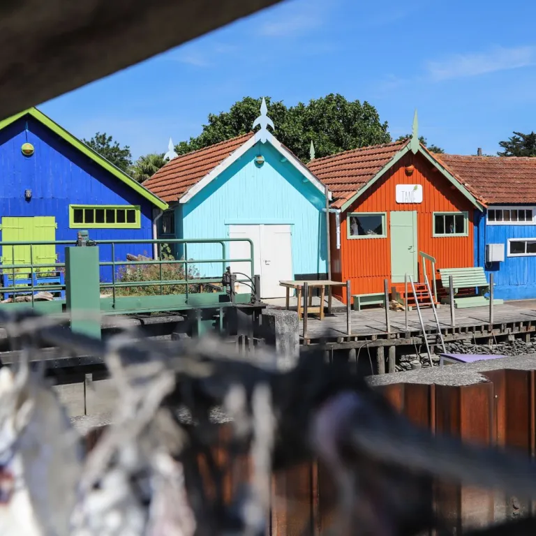 Weekend in Oléron: 10 unmissable experiences t ...