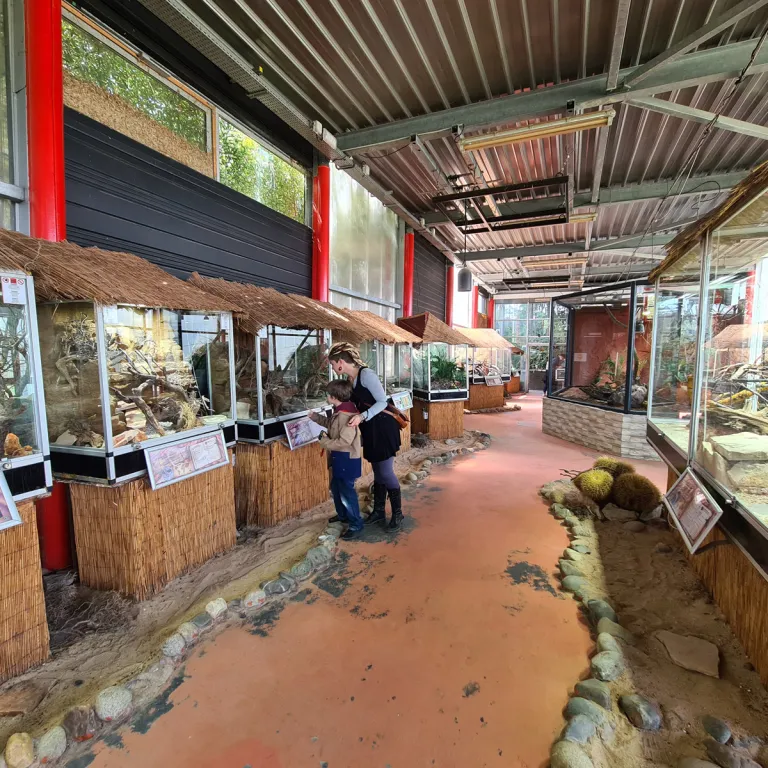 Top 10 museums with children in Charente-Maritime