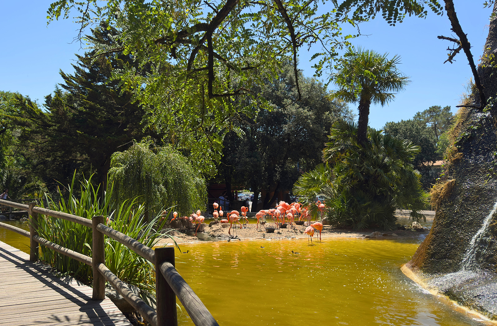 Une journée au Zoo de La Palmyre