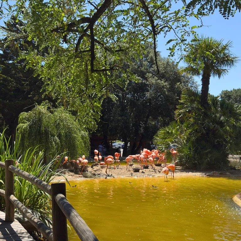 A day at La Palmyre Zoo