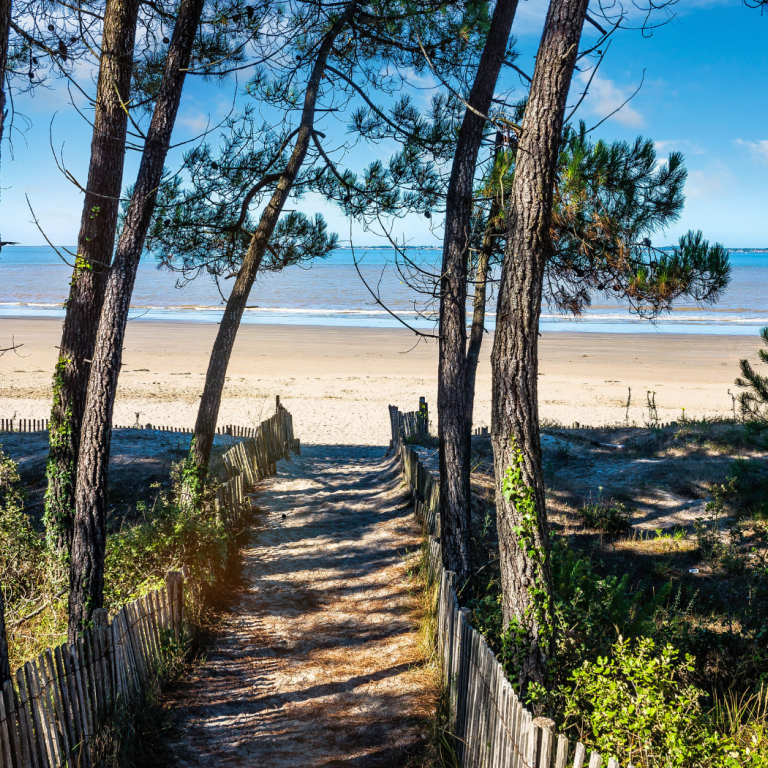 It's hot in Charente-Maritime: our top tips fo ...