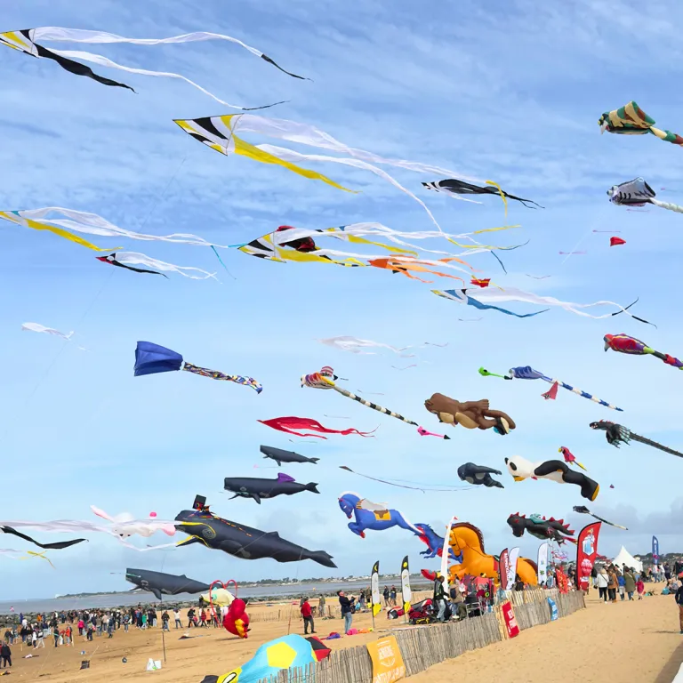 Kite and Wind Festival in Châtelaillon-Plage: ...