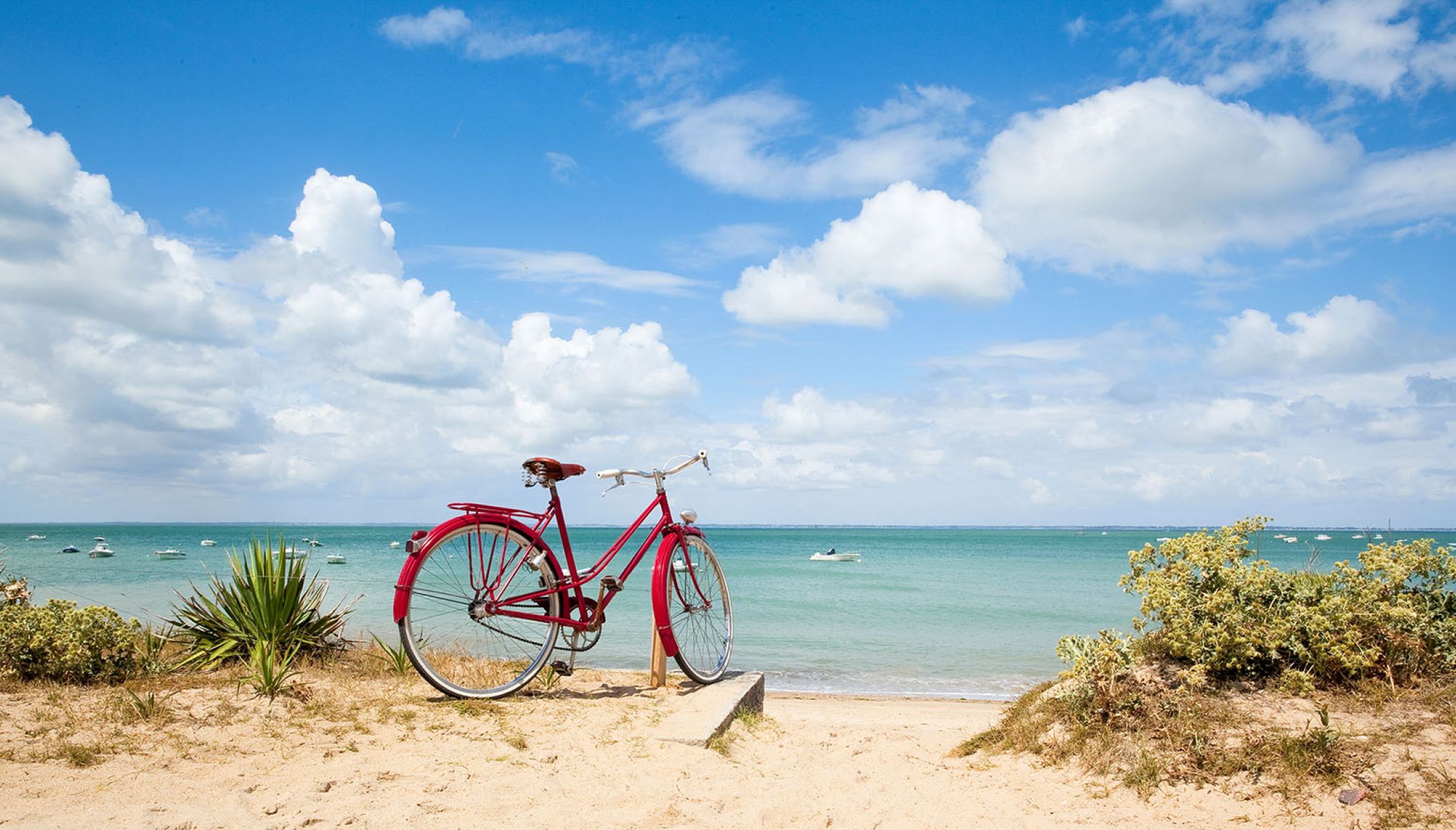 Les meilleures balades à vélo sur l’île de Ré