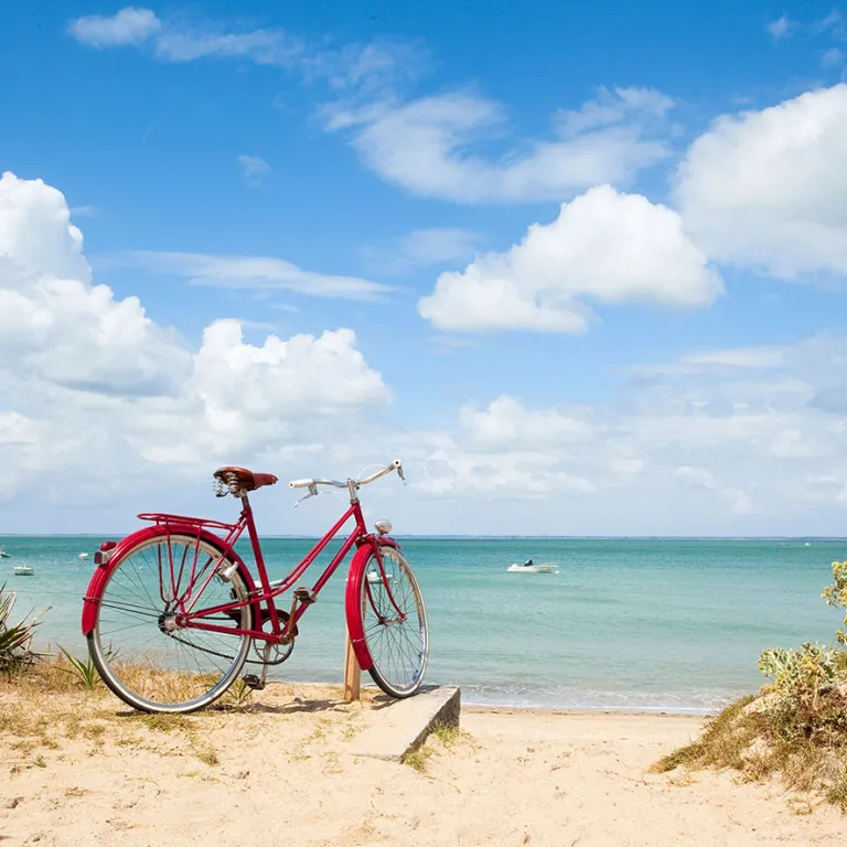 The best bike rides on the île de Ré