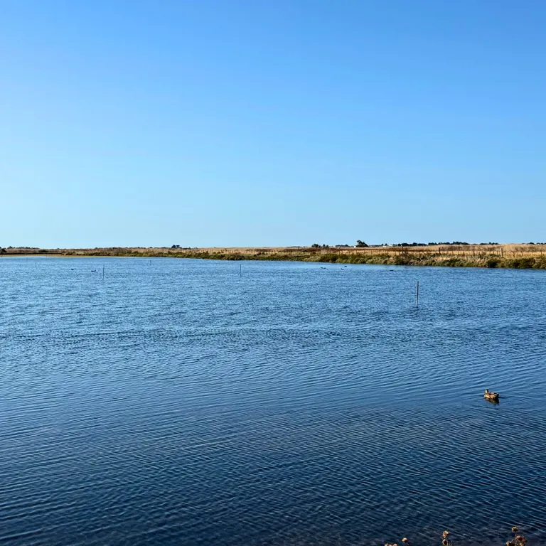 A walk in the Lilleau des Niges Nature Reserve ...