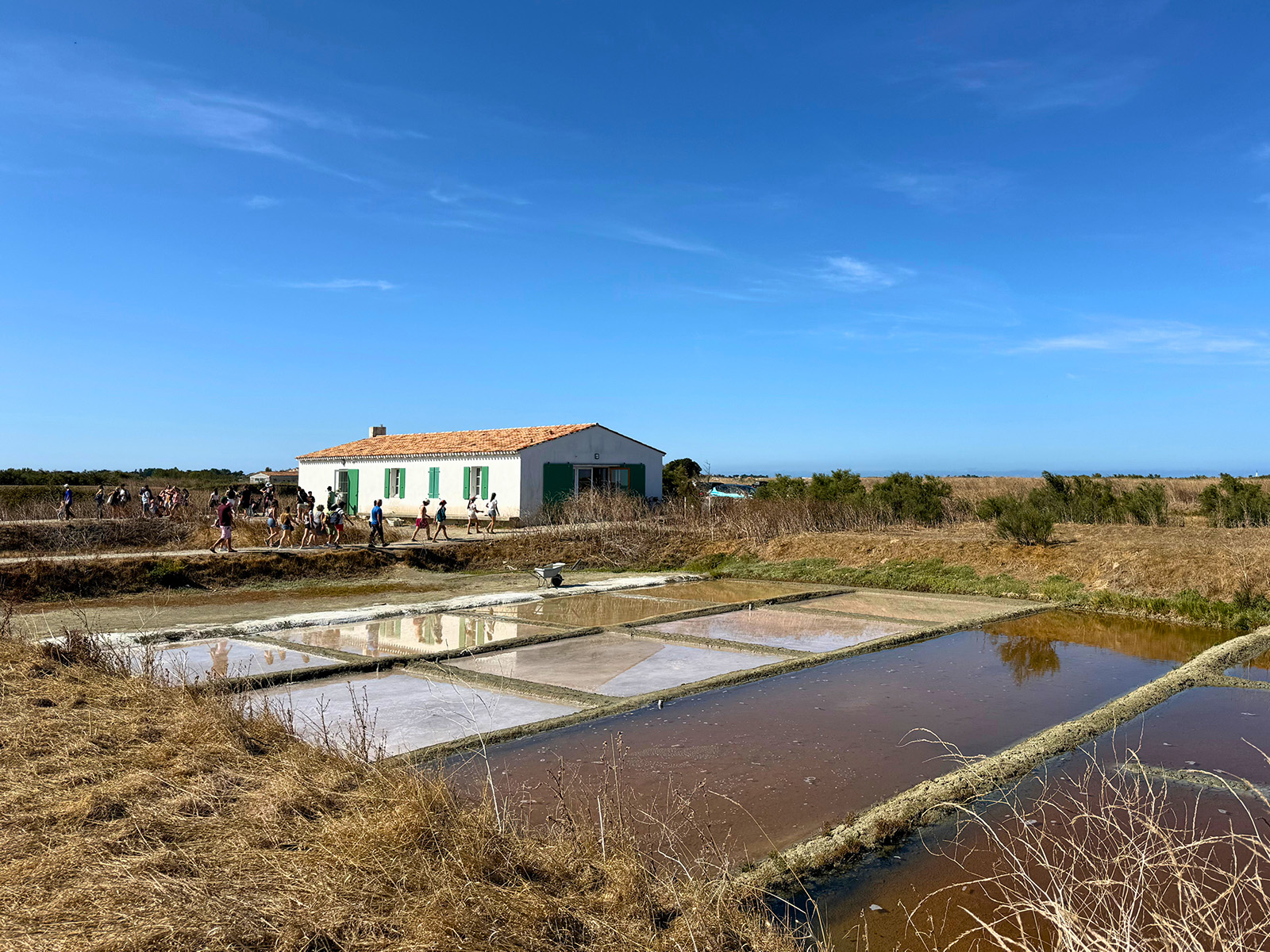 Visiter l'Écomusée du Marais Salant de Loix :  ...