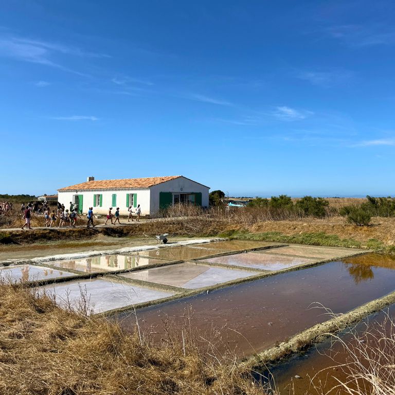 Visiter l'Écomusée du Marais Salant de Loix : ...