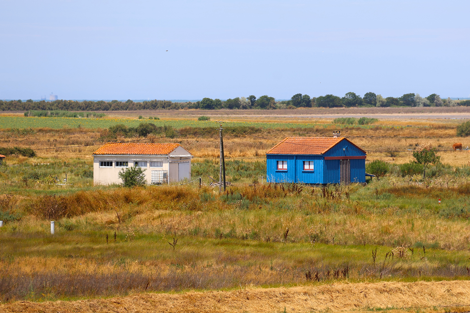 Brouage and its surroundings, a fortified city ...