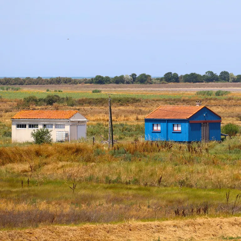 Brouage and its surroundings, a fortified city ...