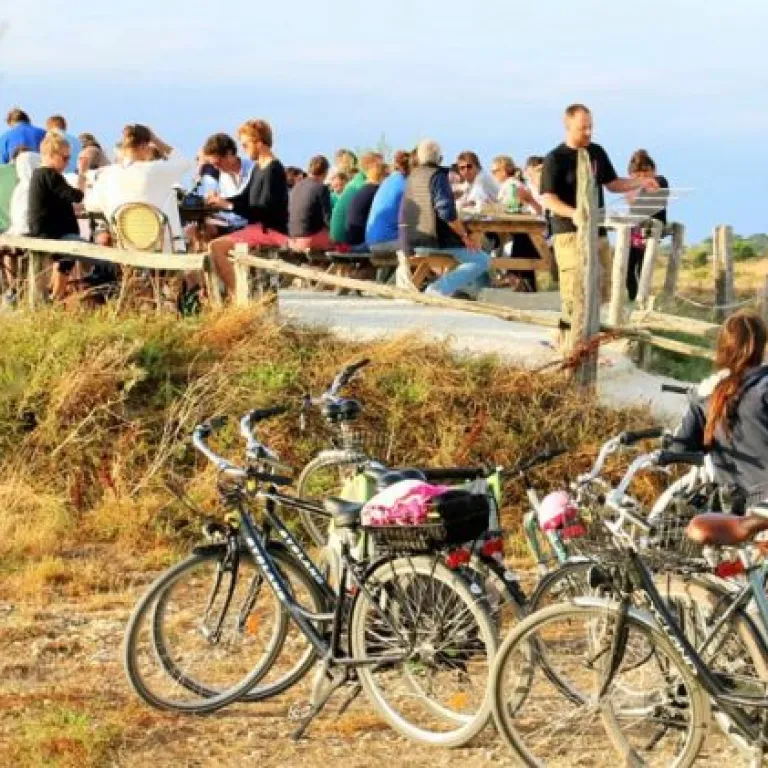 Top 5 Oyster Shacks to Enjoy Oysters on Île de Ré