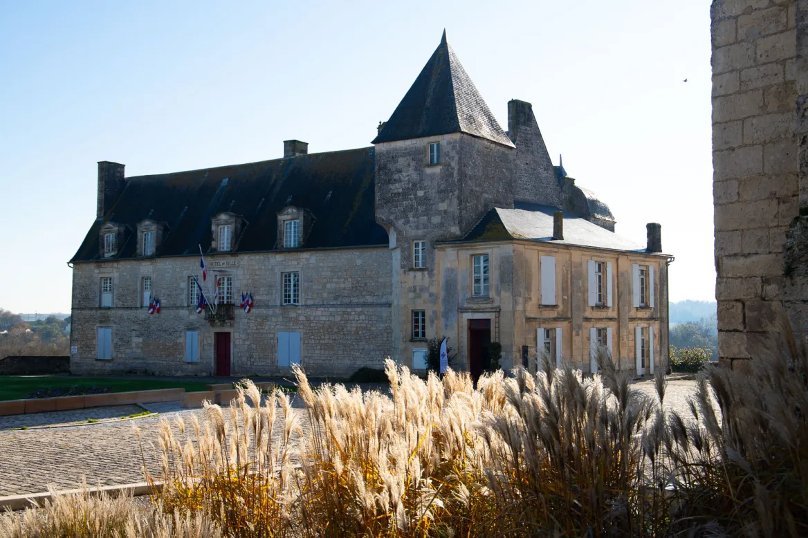 Château de Pons