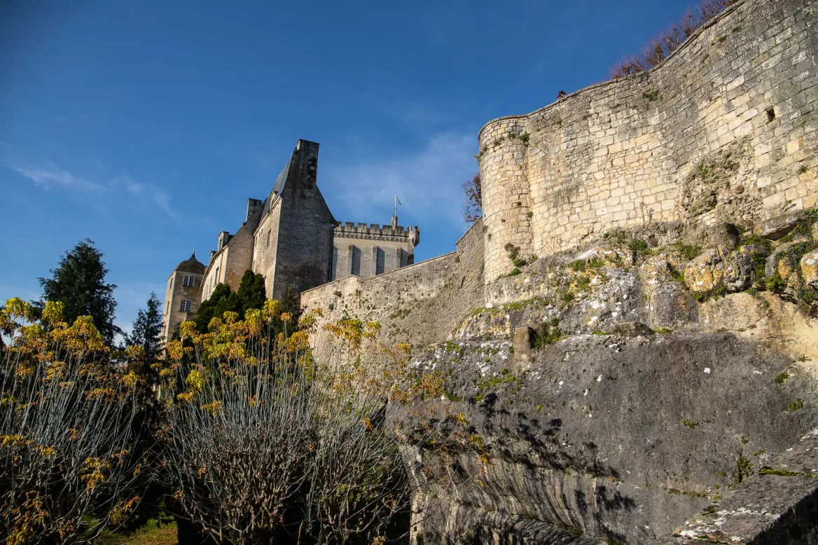 Château de Pons