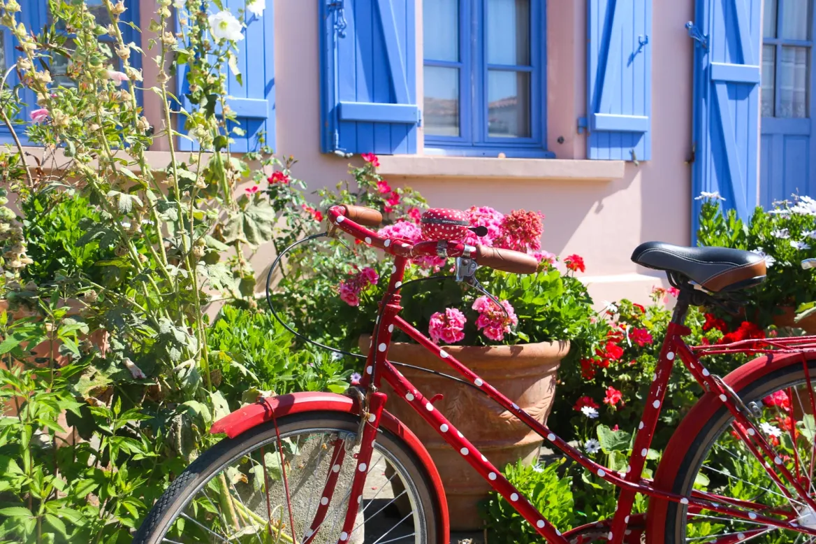 Aix Island