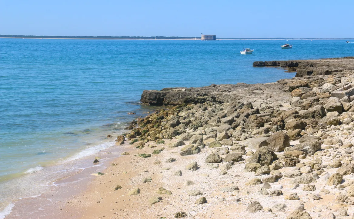Aix Island Beach