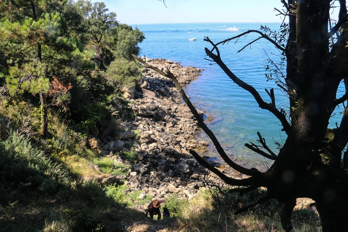 Aix Island