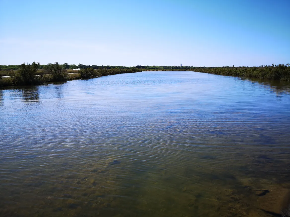 The Vasais Les Sauniers on the Ile de Ré