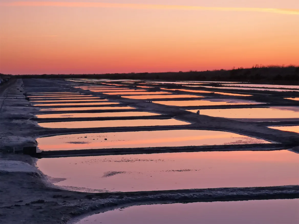 The Sauniers on the Ile de Ré