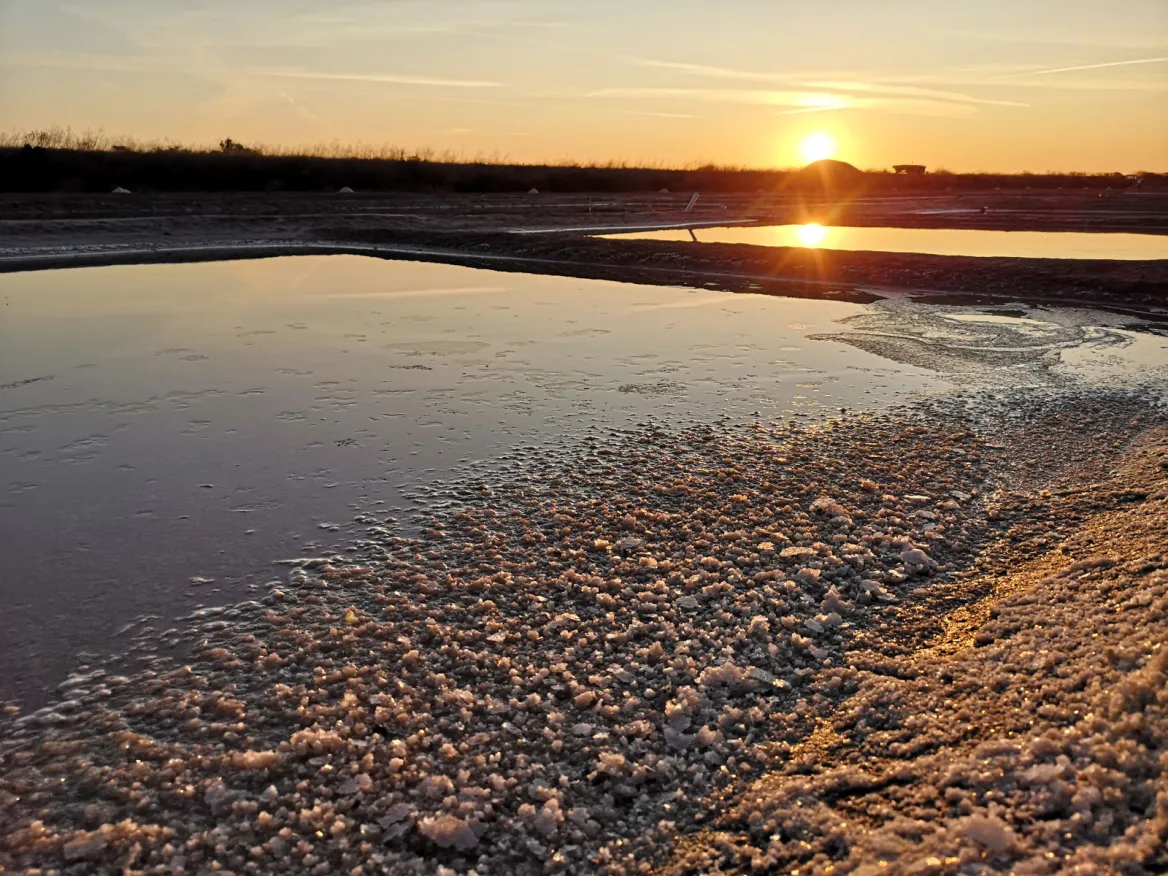 The Sauniers on the Ile de Ré