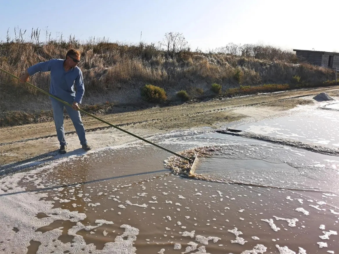 The Sauniers on the Ile de Ré
