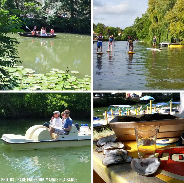 Marais Plaisance boat trips in Marans