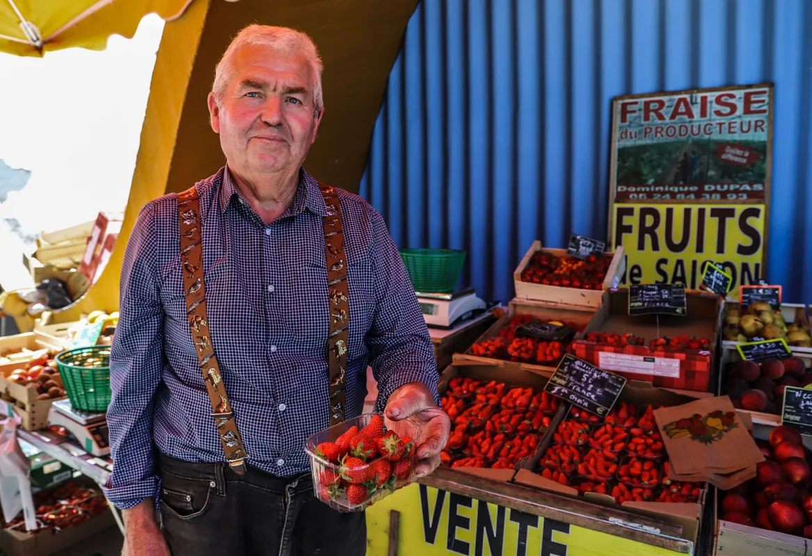 Royan market