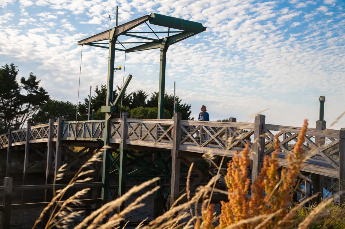 La passerelle en bois