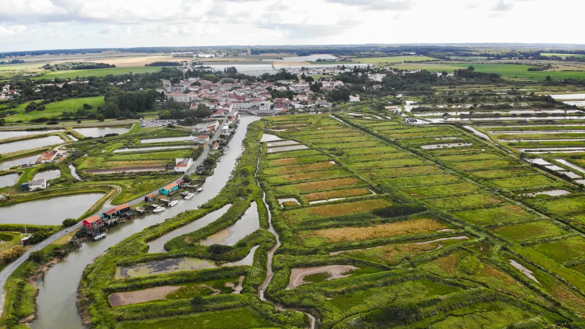 Mornac sur Seudre
