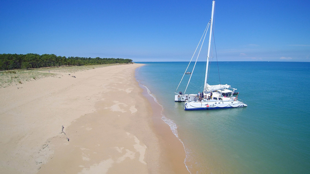 island or catamaran wings