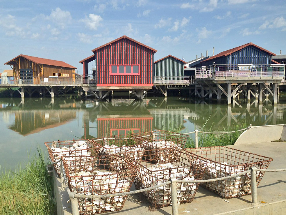 The Oyster City