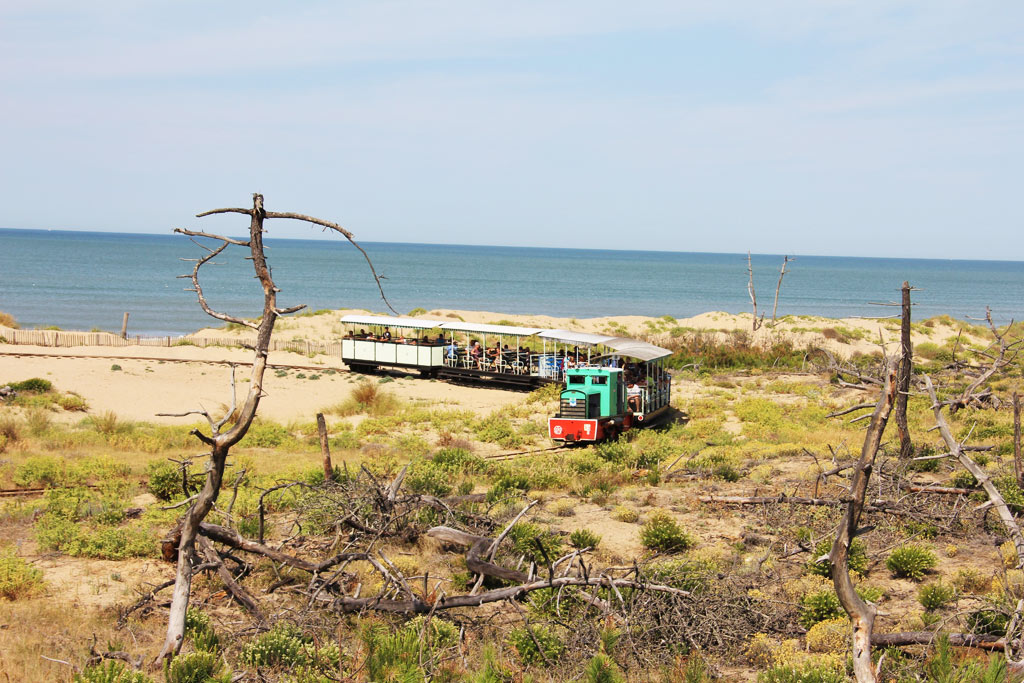 PTT train from St Trojan