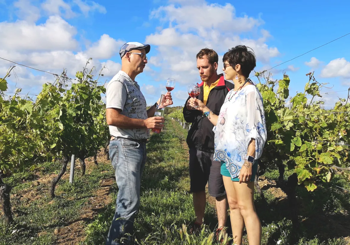 Wine tasting