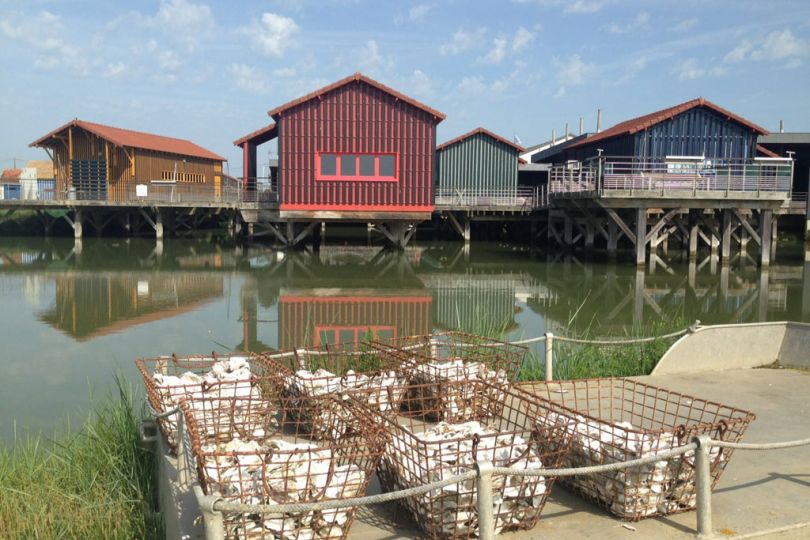 Marennes Oyster City