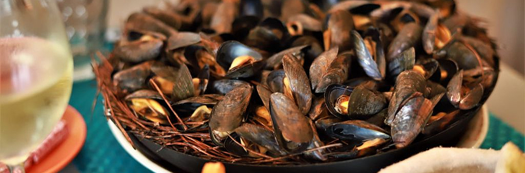 Mussels