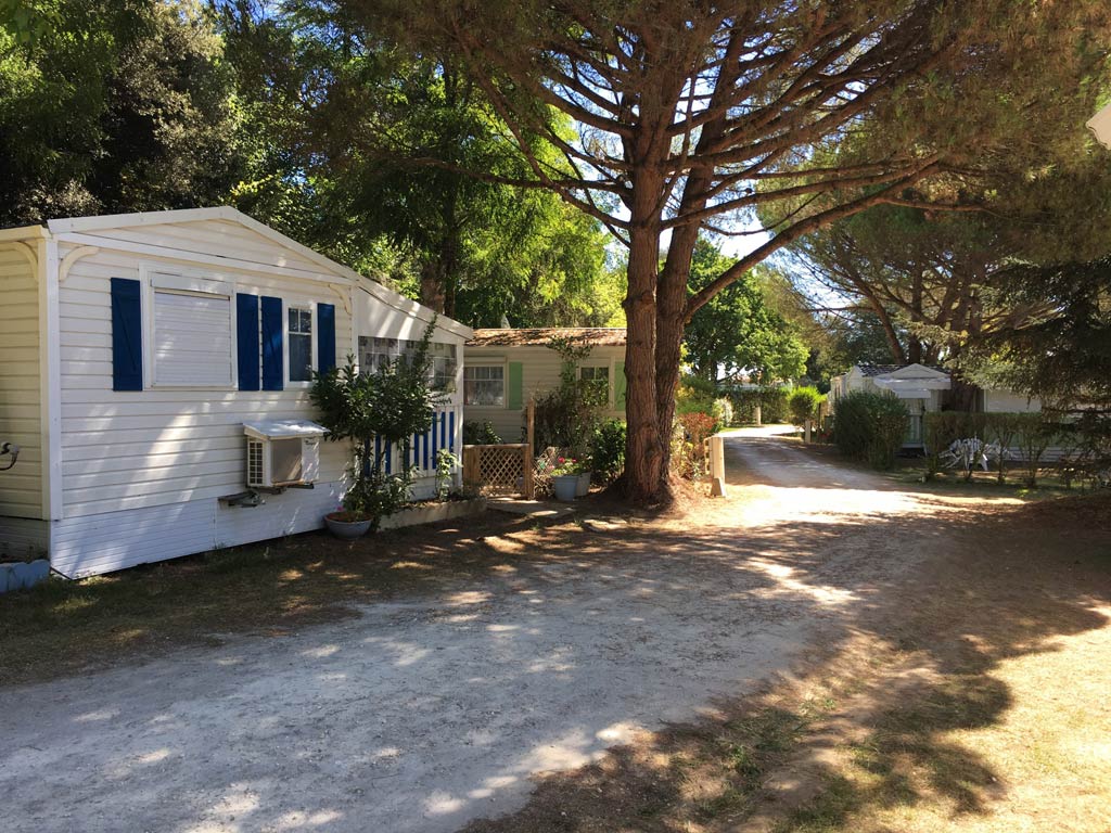 Green Oaks Campsite