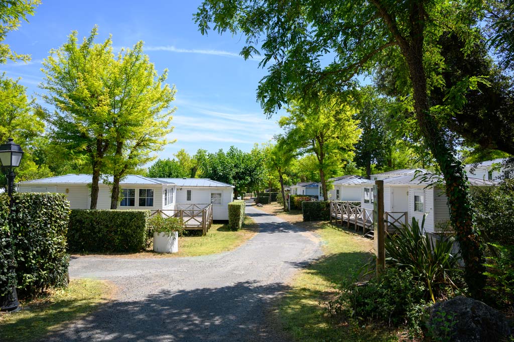 Camping Les Gros Joncs