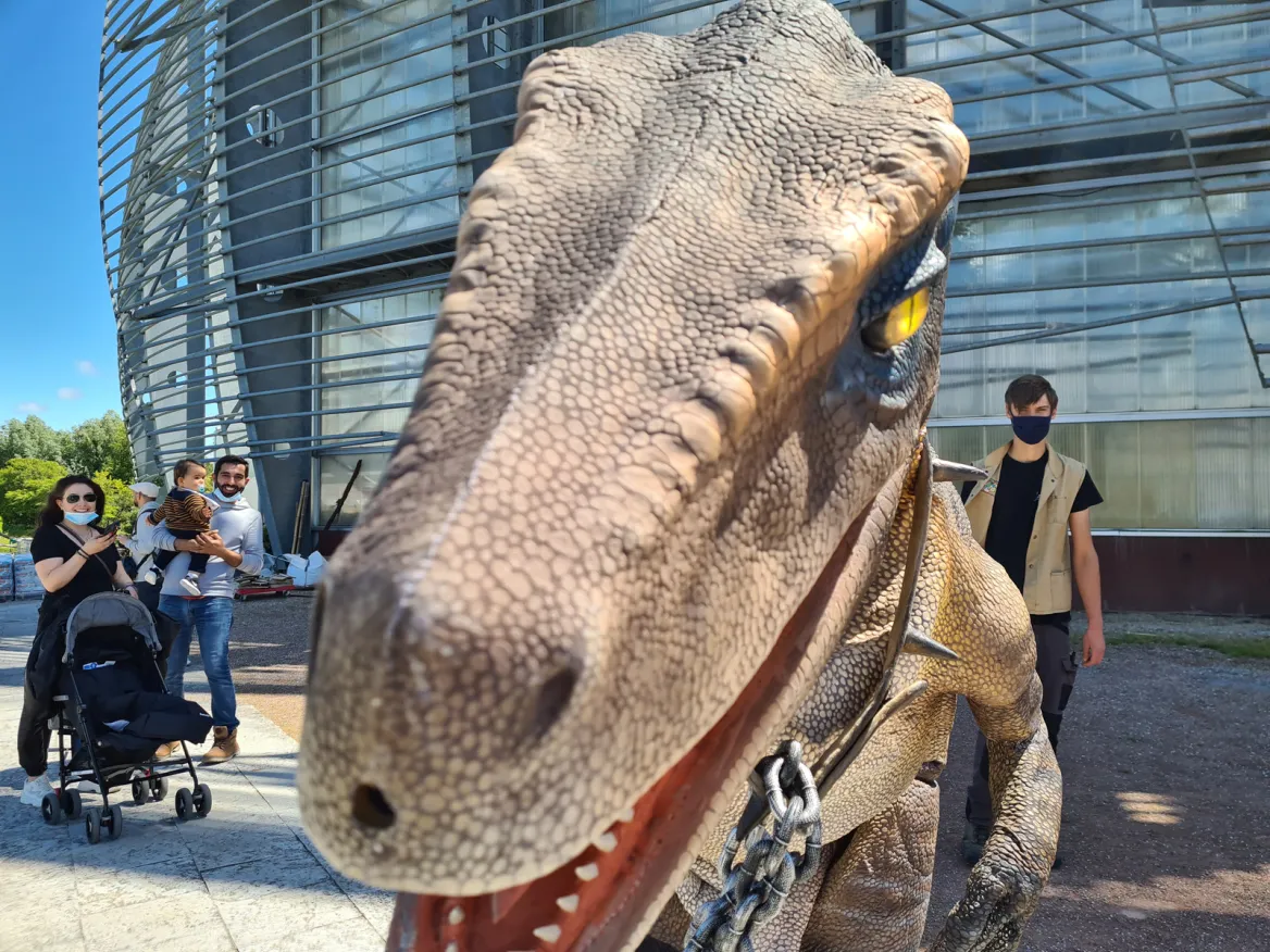 The dinosaur